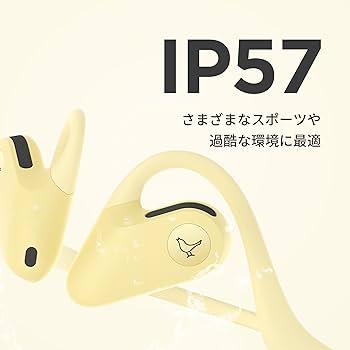 Takkasan 【新品・未開封】＜リブラトーン＞LIBRATONE Amazon.co.jp: LIBRATONE AIR+(2nd) 完全ワイヤレスイヤホン